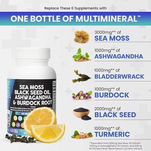 ยาขมิ้น Bladderwrack 3000มก. มอสทะเลแคปซูลยาสำหรับระบบภูมิคุ้มกัน - Product Image 2