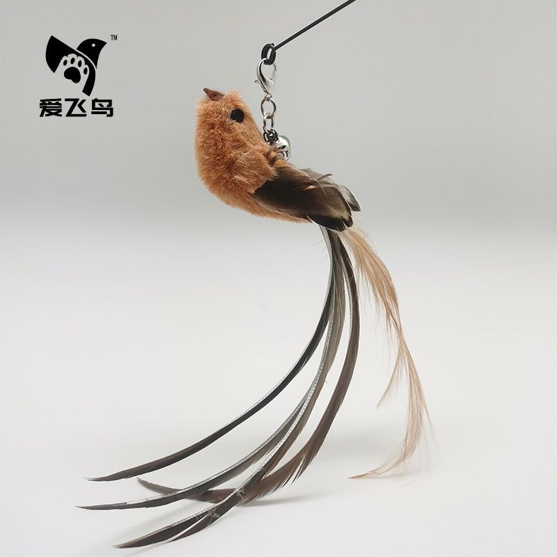 attache oiseau vida