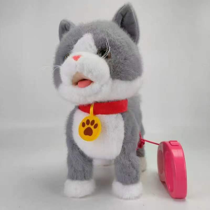 Chat gris