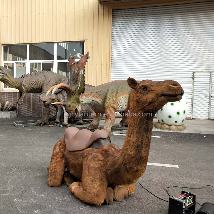 camel