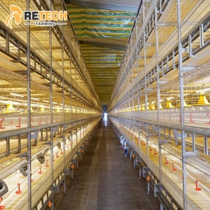 Yüksek kaliteli H tipi galvanizli Broiler tavuk kafesi 2 katlı/4 katlı kapasite 60-80 kuş