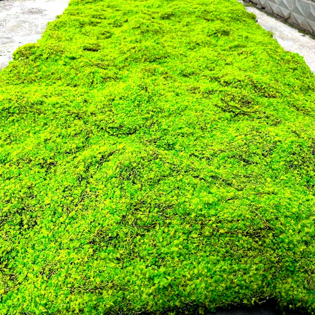 Vert-09