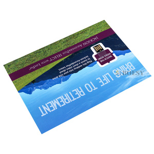 กระดาษพิมพ์USB Web Key,คลิปบนกระดาษUSB Webkeyสำหรับโปรโมชั่น,USB Mailer Webkey CardและUsb Flyerในการพิมพ์ - Product Image 1