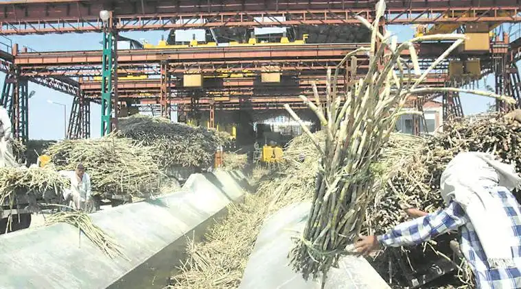 White Ep Conveyor Belt for Sugar Industry