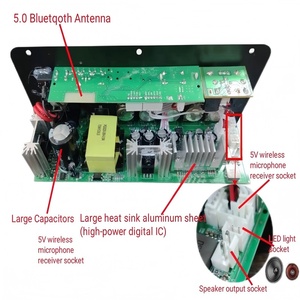 D300W Single <strong>Output</strong> Home Amplifier with <strong>Bluetooth</strong> Radio USB TF Dual MIC <strong>Input</strong> Remote Control DC 12V/24V &amp; AC 220V Power Supply - Product Image 5