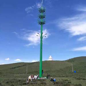 40m monopole ăng ten tháp cây nhân tạo ăng ten tháp GSM cây cọ che giấu - Product Image 2