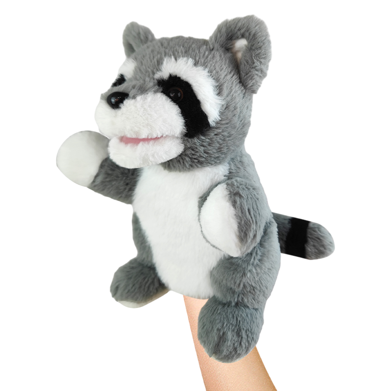 raccoon