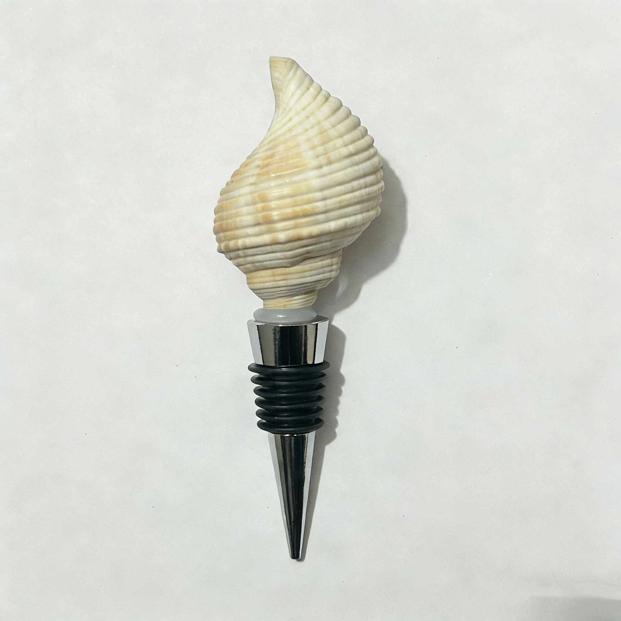 Cebolla caracol de jadeíta