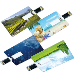 Bán Sỉ Thiết Kế Logo Tùy Chỉnh Bằng Nhựa Đĩa Quét 64GB 128GB 256GB 512GB Ổ <span class=keywords><strong>Usb</strong></span> Flash Trống Thẻ Tín Dụng Mẫu 8Gb - Product Image 2