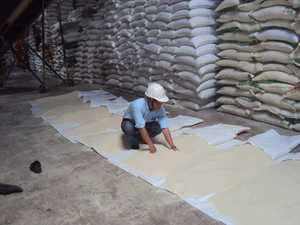 Good Quality Milagrosa <strong>Riz</strong> Jasmine Rice Aromatic Fragrant Rice 5% Broken for Wholesales <strong>Riz</strong> Arroz Whatsap 0084 989 322 607 - Product Image 3