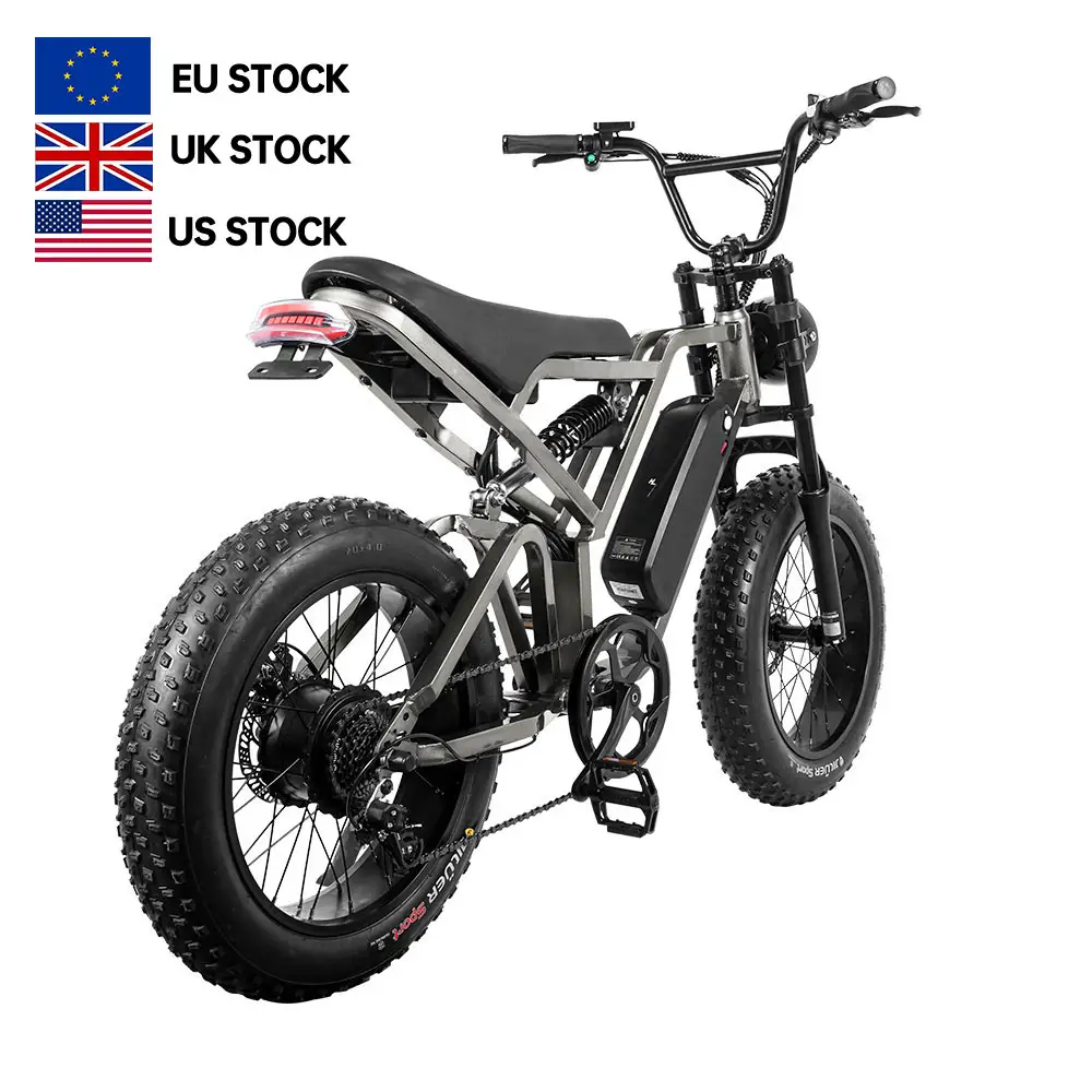 Saibaike Eu Magazijn Retro Dirt E-Bike 48V 750W 1000W Motor Lange Afstand 20 Inch Dikke Band Stad Off-Road Ebike Elektrische Fiets