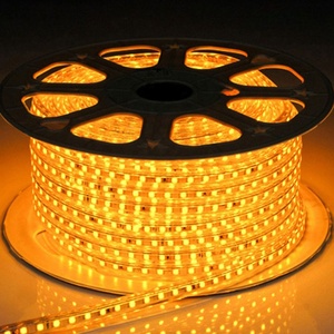 Tira de luces LED de cuerda, luz led barata, impermeable, flexible, uv, cob - Product Image 1