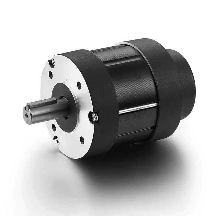 Gute qualität angepasst spezifikation 80 mm 12v 24v 36v 48v bürstenlosen dc motor 100w 200W 300w 400w 500w