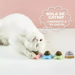 5 Pieces <strong>Catnip</strong> Cat Toy Interactive Rotation - Product Image 1