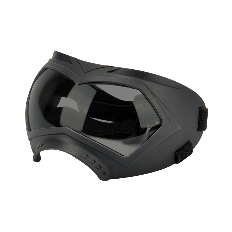 Black frame grey lens