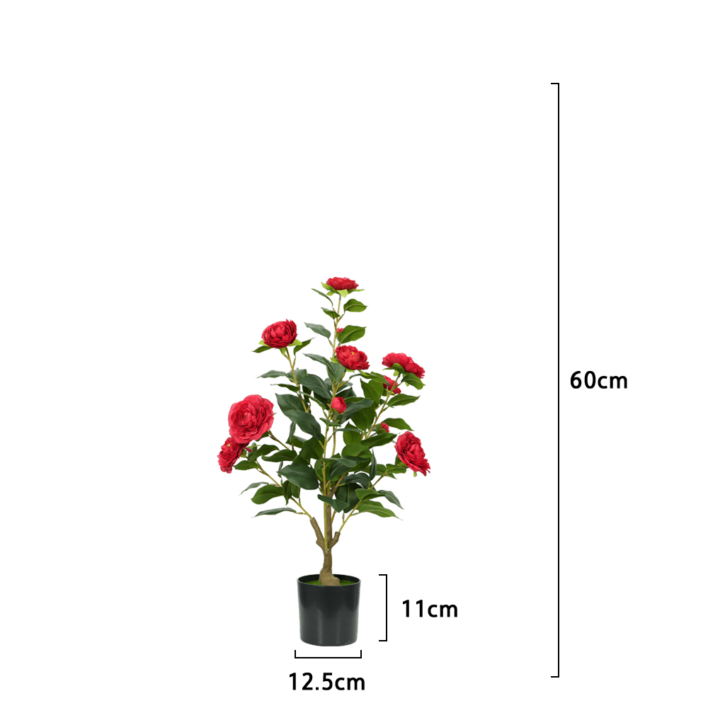 Red-2FT