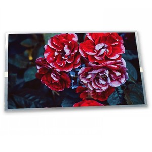 15.0-Inch Hot Sale <strong>LCD</strong> <strong>Display</strong> <strong>Module</strong> NL10276BC30-17 with 1024*768 Resolution I2C Interface for New