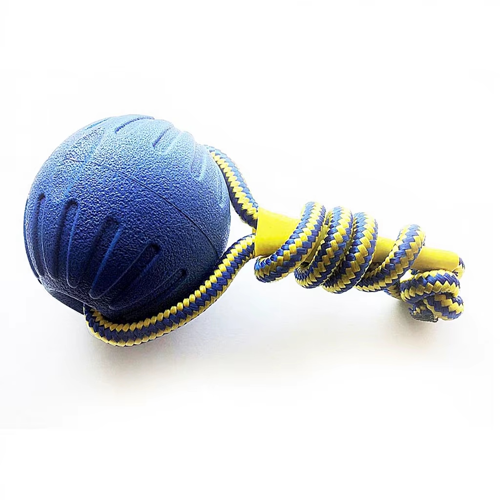 Palla blu con corda
