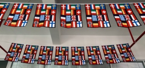 Bandera de cadena rectangular Maofeng, banderín de poliéster, banderines, decoración colorida, Bandera de cadena para pancartas al por mayor - Product Image 6