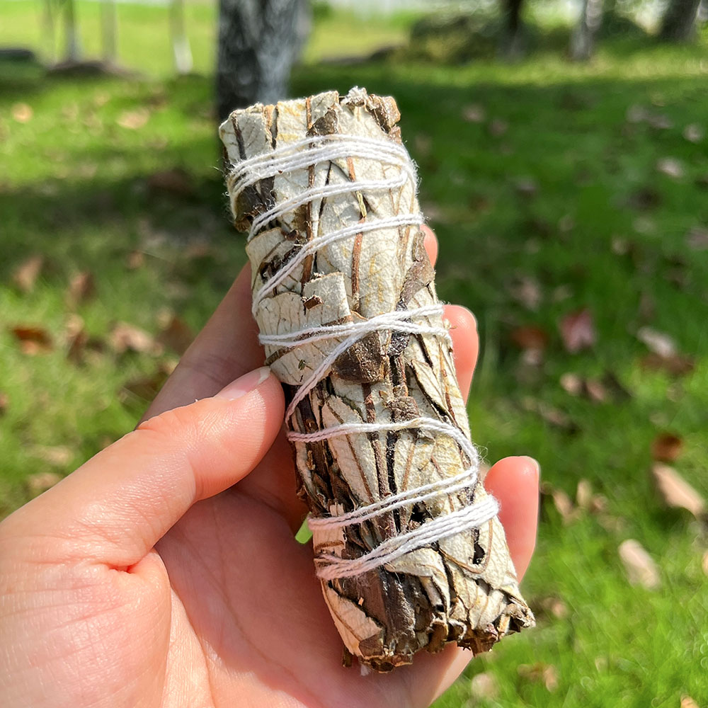 Yerba Santa