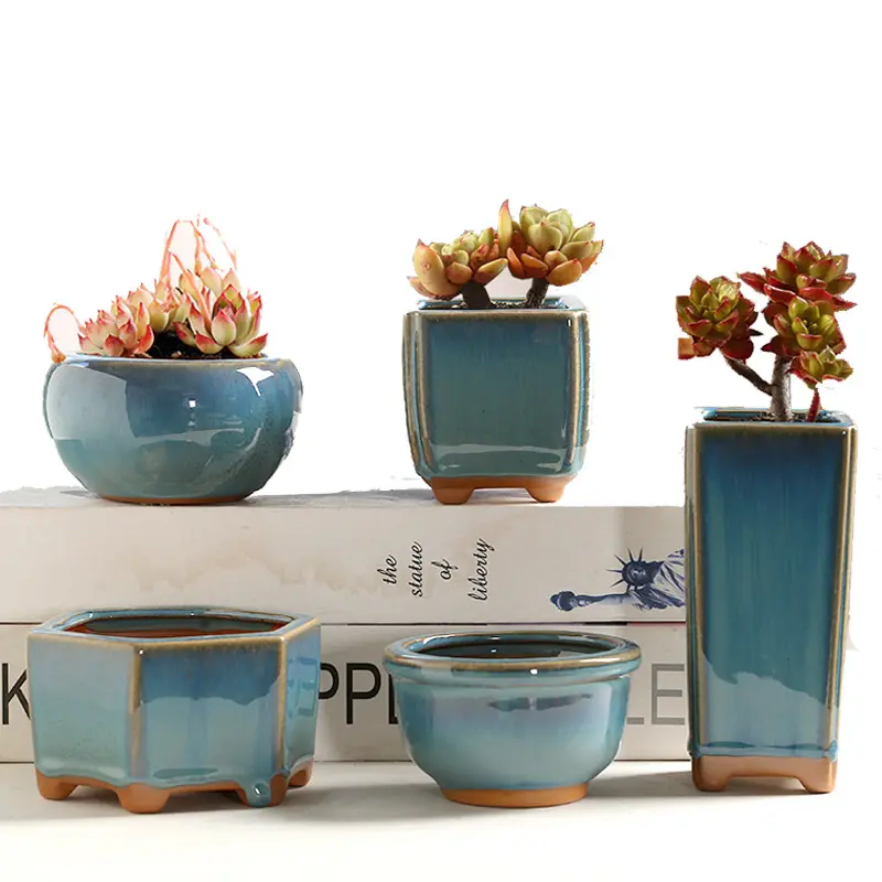 Moderno azul cerâmica suculento cacto vaso adequado para interior e exterior escritório jardim e cozinha decoração