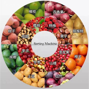工业果蔬精选芒果分选分级机黄绿色芒果加工机