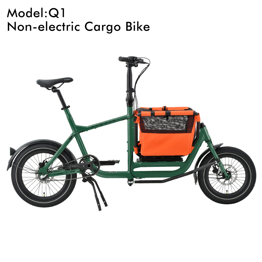 Q1_Verte