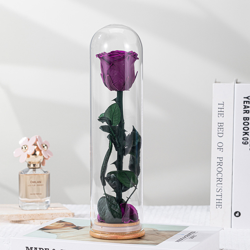 Pourpre