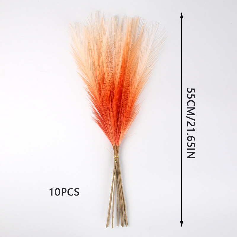 Herbe de pampas orange et blanche 10pcs