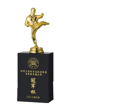 Patung Aksi Piala Taekwondo Suvenir Penghargaan
