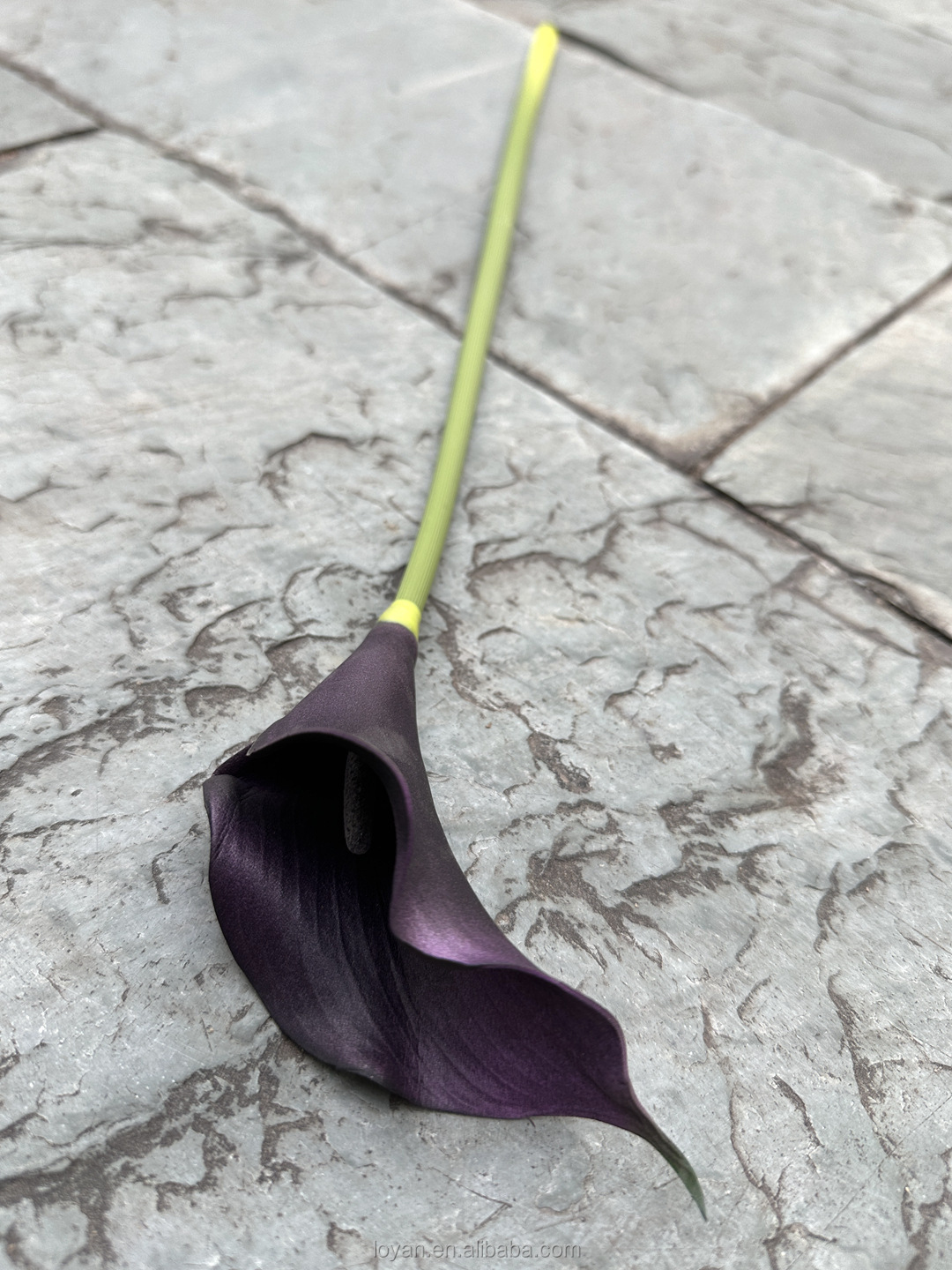 #6 Black Purple