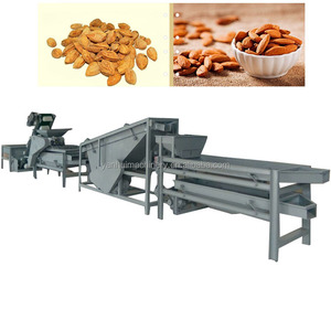 Hazelnut <strong>Shelling</strong> <strong>Machine</strong> <strong>Sorting</strong> Palm <strong>Kernel</strong> Crushing Peeling Processing Line Small Almond Sheller - Product Image 6