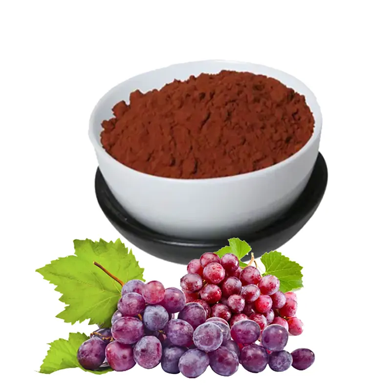 Health Supplement Natural Grape Seed Fruit Extract 95% Proanthocyanidins Powder
