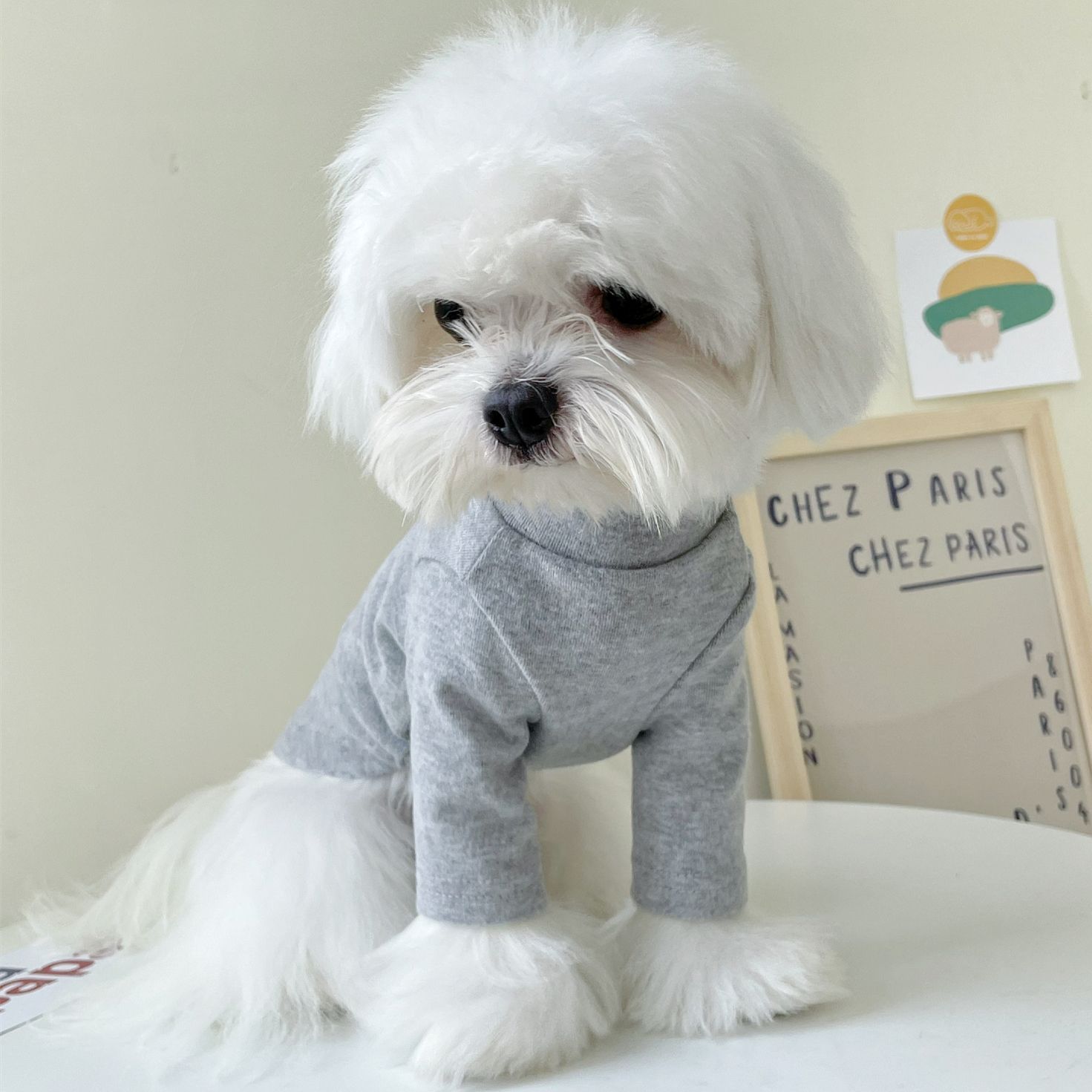 Gris