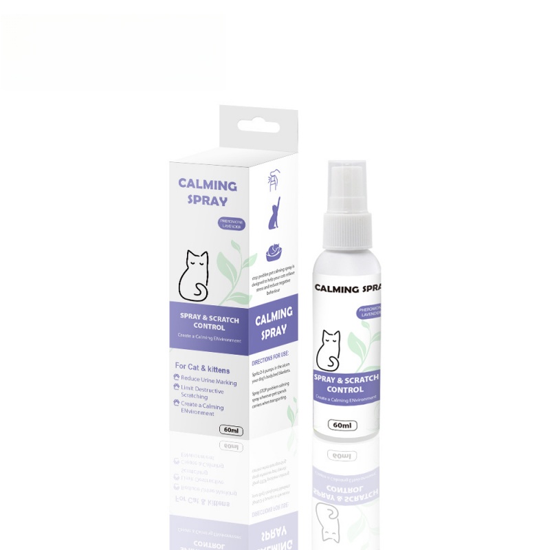 Light purple (cat)