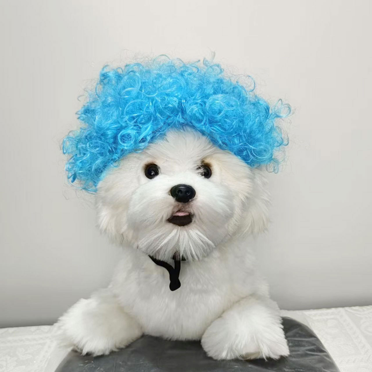 Dog wig with spiky top, light blue (40g)