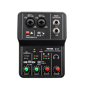 Interfaz de audio Tarjeta de sonido de grabación profesional 16bit/48kHz Mini interfaz de audio USB Tarjeta de sonido 2 entradas y 2 salidas con 48V Phantom - Product Image 3