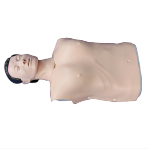 ADA <strong>Basic</strong> CPR Training Model (Half Body) and Half Body CPR Training Model (Male) with Half Body CPR Training Model (Female) - Product Image 4