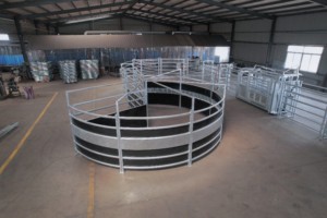Cattle Management Systems With Revolving Doors Extrusion Group Separation Doors Balustrades Loading Cattle <strong>Ramps</strong> - Product Image 5