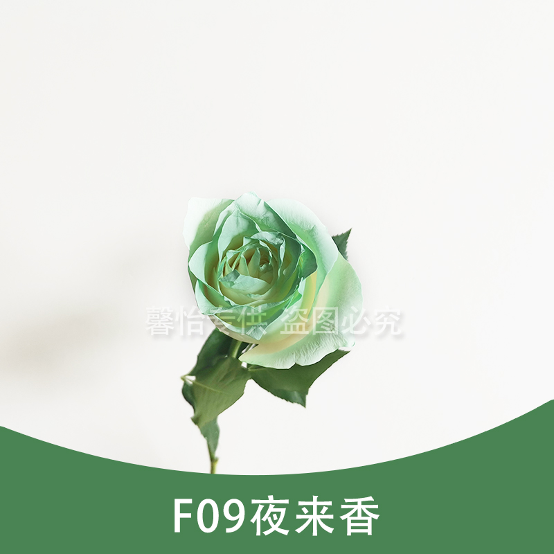 F09 light cyan