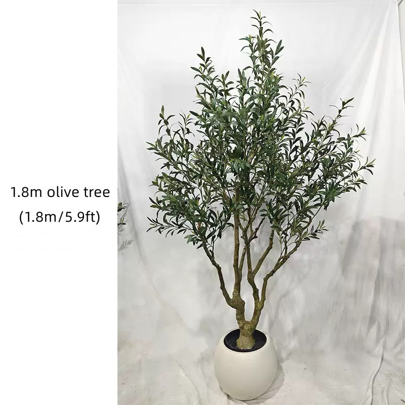1.8m olive tree-green