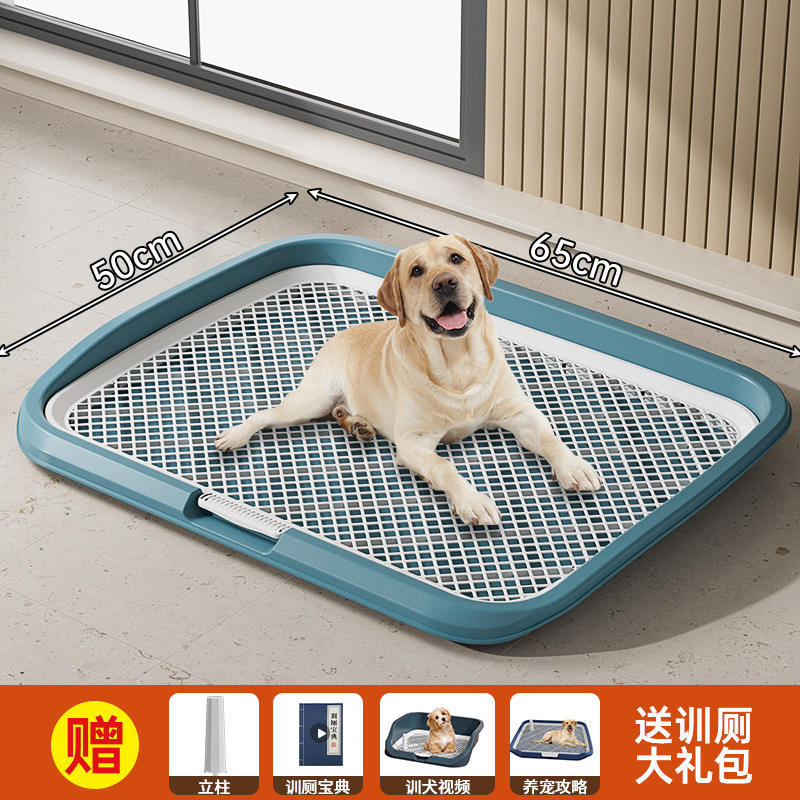 Extra-large sky blue