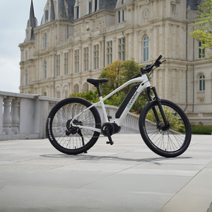 Europäisches Lager Alle Aluminium rahmen Ananda M81 250W Zentral motor 17.5ah für Samsung Battery Core Electric Mountainbike