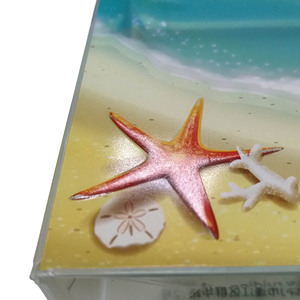 ISO 9001カスタムクリアハードプラスチックおもちゃ箱包装、化粧品用カラーPET RPETアセテートボックス、プラスチック製の好意ボックス - Product Image 4