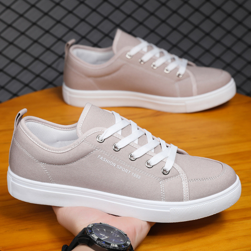 R011 grigio