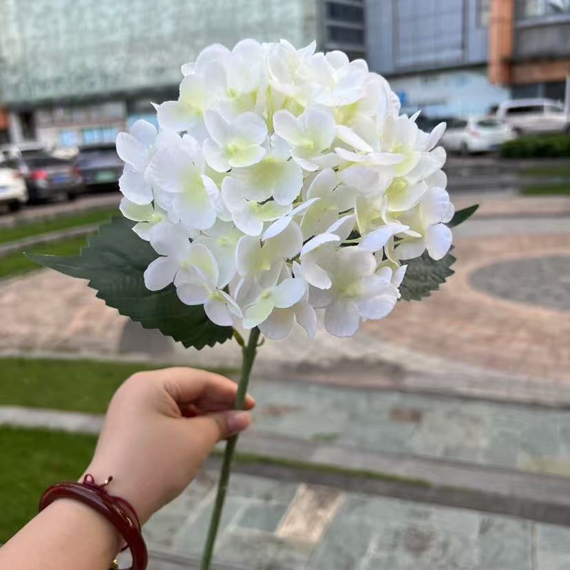 72 pièces en caoutchouc souple, aspect hortensia blanc miniature.