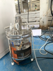 Vendite dirette fermentatore di vetro a parete singola con BLBIO-GJG modello che è facile da operare può essere utilizzato nella coltura di microrganismi - Product Image 6