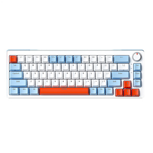 65% Teclado mecánico 68 teclas intercambiables en caliente Anti-ghosting Mini RGB Gaming Teclado mecánico con cable Teclado para computadora - Product Image 4