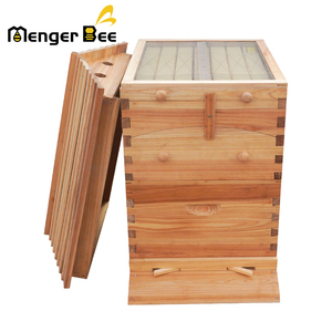 Free Shipping USA Warehouse Automatic Bee Hive Set Flow Bee Hive House Bee Keeping Equipment - Product Image 3