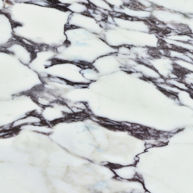 Calacatta Viola Marble